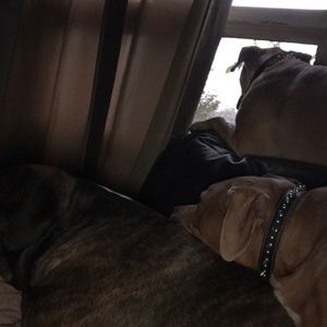 Meet your Posher, Shannah